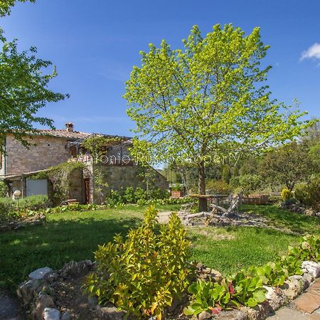 Montieri Ca'Novae - Tuscany Farmhouse מראה חיצוני תמונה